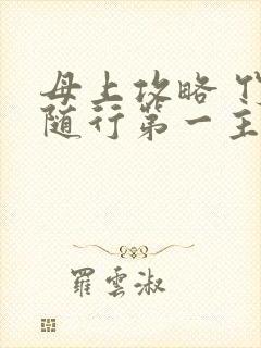 母上攻略 竹影随行第一主板