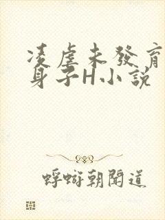 凌虐未发育的小身子H小说