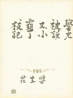 校霸又被学神标记了小说免费阅读封面