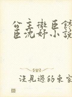 公主微臣馋了微臣沈妤小说
