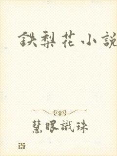 铁梨花小说