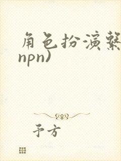角色扮演系统(npn)封面