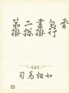 第二书包香辣肉排总排行