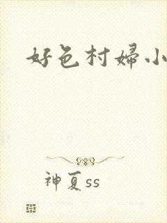 好色村妇小银贼封面