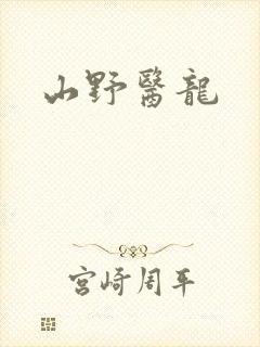 山野医龙封面