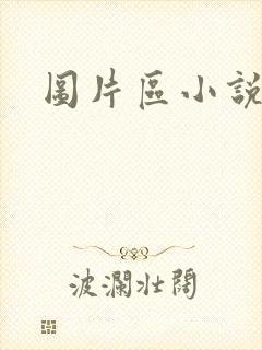 图片区小说区