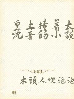 皇上撞着太子妃沈音的小说叫什么