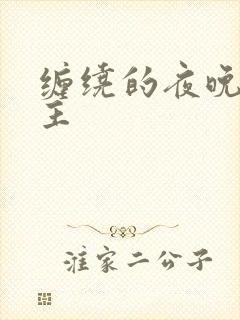 缠绕的夜晚双男主