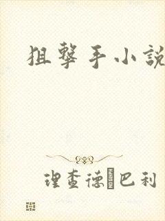 狙击手小说封面