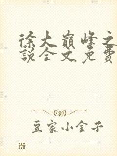 徐大巅峰之路小说全文免费阅读