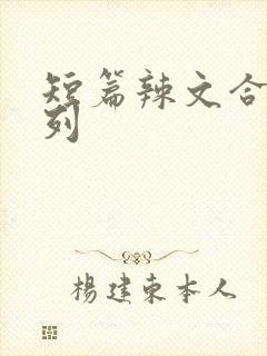 短篇辣文合集系列封面