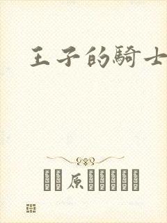 王子的骑士小说