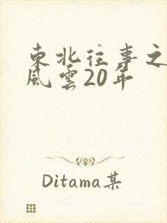 东北往事之黑道风云20年封面