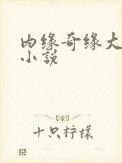 内缘奇缘大团圆小说
