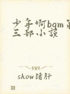 少年啊bgm第三部小说