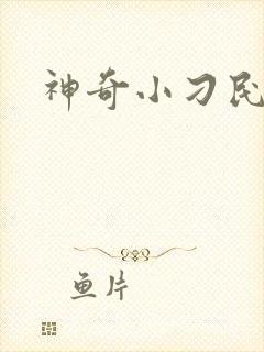 神奇小刁民