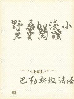 野桑by浅小说免费阅读