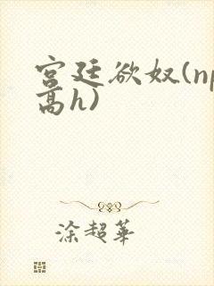 宫廷欲奴(np高h)