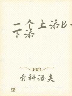 一个上添B一个下添