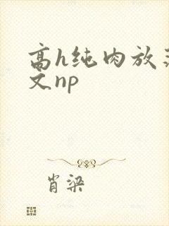 高h纯肉放荡h文np