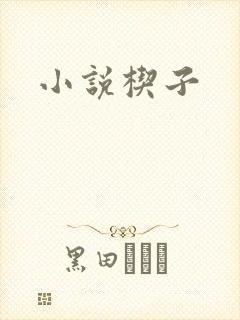 小说楔子封面