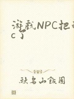 游戏NPC把我c了