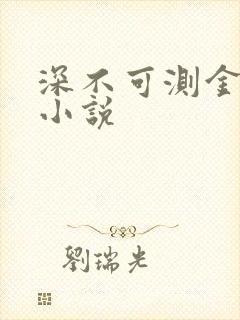 深不可测金银花小说