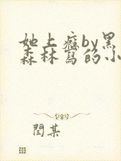 她上瘾by黑暗森林写的小说免费阅读无弹窗