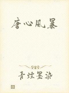 唐心风暴
