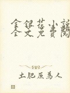 金银花小说在线全文免费阅读
