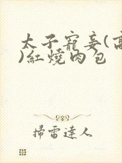 太子宠妾(高肉)红烧肉包封面