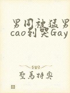男同被猛男房东cao到哭Gay
