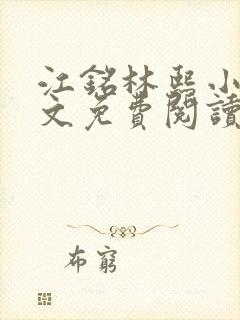 江铭林熙小说全文免费阅读封面
