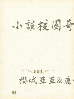 小说校园奇侠封面