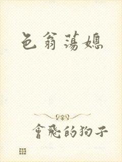 色翁荡媳