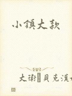 小镇大款