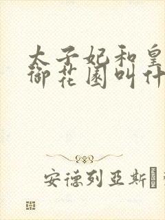 太子妃和皇帝在御花园叫什么小说