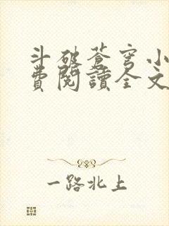 斗破苍穹小说免费阅读全文无弹窗封面