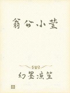翁公小莹