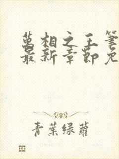 万相之王笔趣阁最新章节免费阅读封面