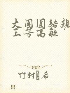 大团圆结亲情会王芳高敏封面
