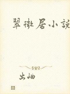 翠微居小说封面