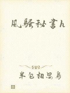 风骚秘书h封面