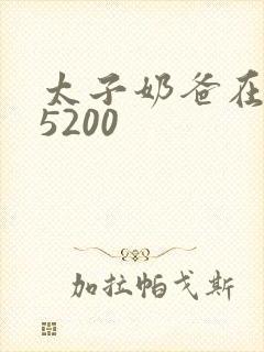 太子奶爸在花都5200封面