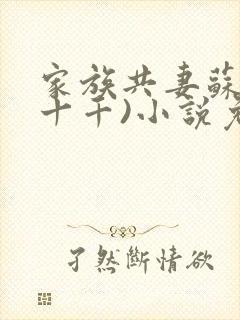 家族共妻苏苏(十千)小说免费