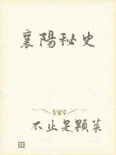 襄阳秘史