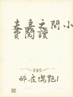 夫妻之间小说免费阅读