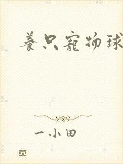 养只宠物球