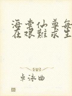 海棠仙尊每天都在艰难求生封面