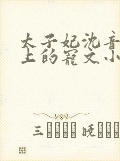 太子妃沈音和皇上的宠文小说